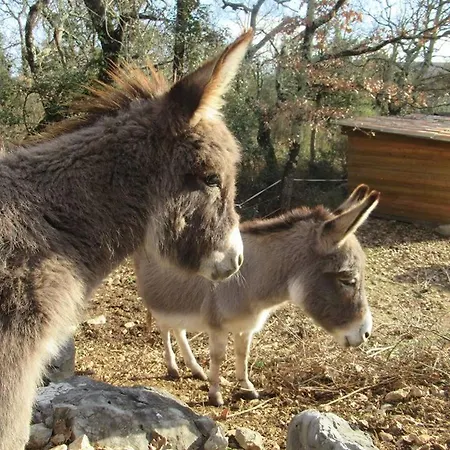 Campsite Roulottes Et De Saint Cerice *